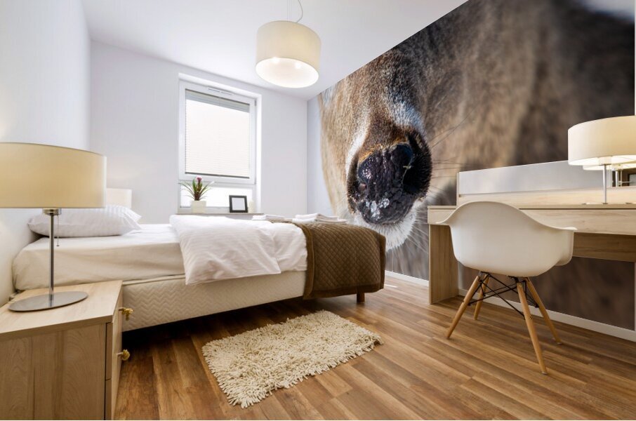 JBS 0540 Impression murale