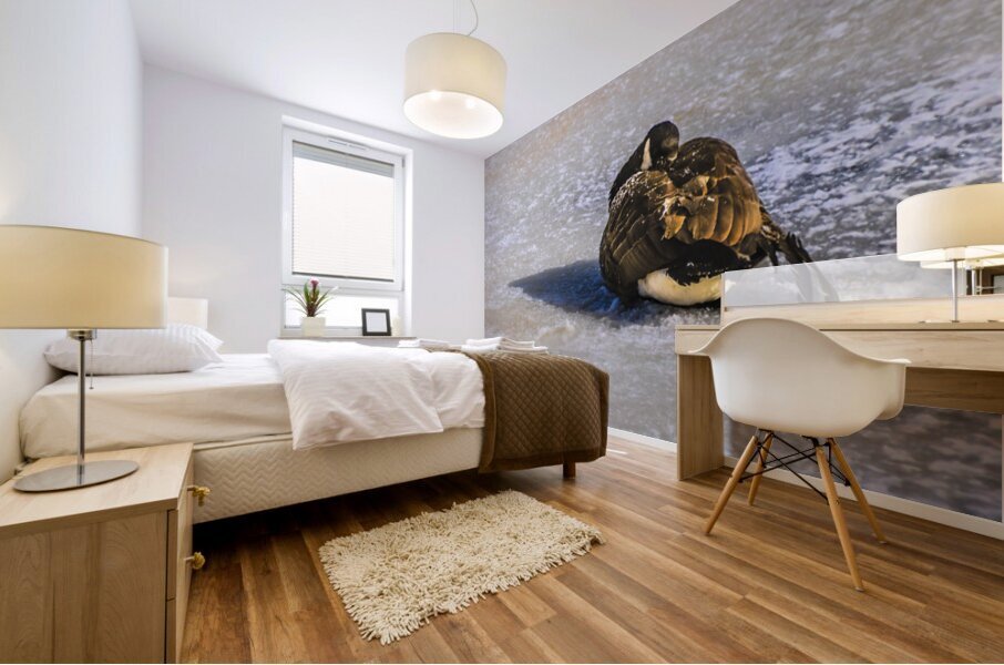 DSC 2285 Mural print