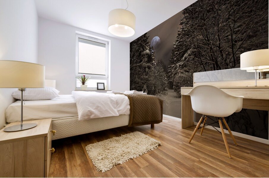 Z62 0235 2  Impression murale