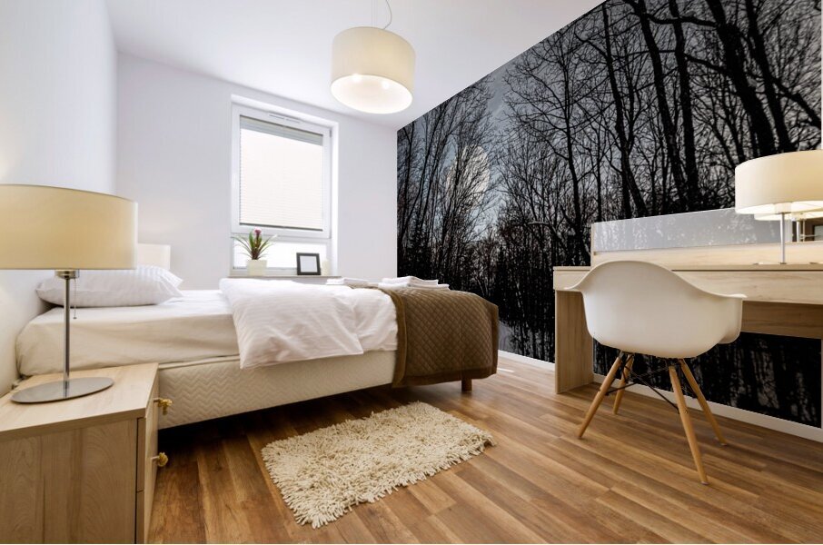 JBS 0236  Impression murale