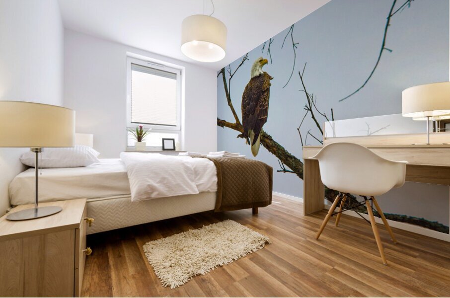 JBS 9645 Impression murale