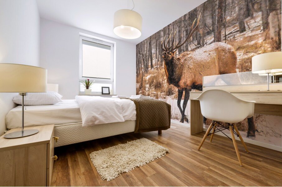 JBS 4996  Mural print