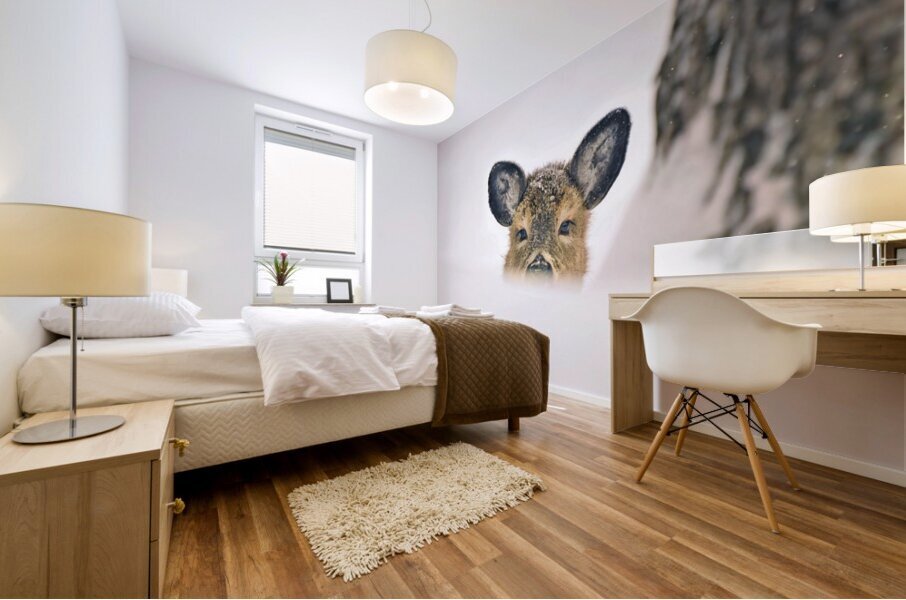 JBS 5691  Impression murale