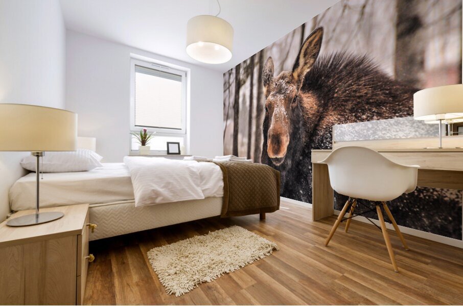 JBS 4896  Impression murale