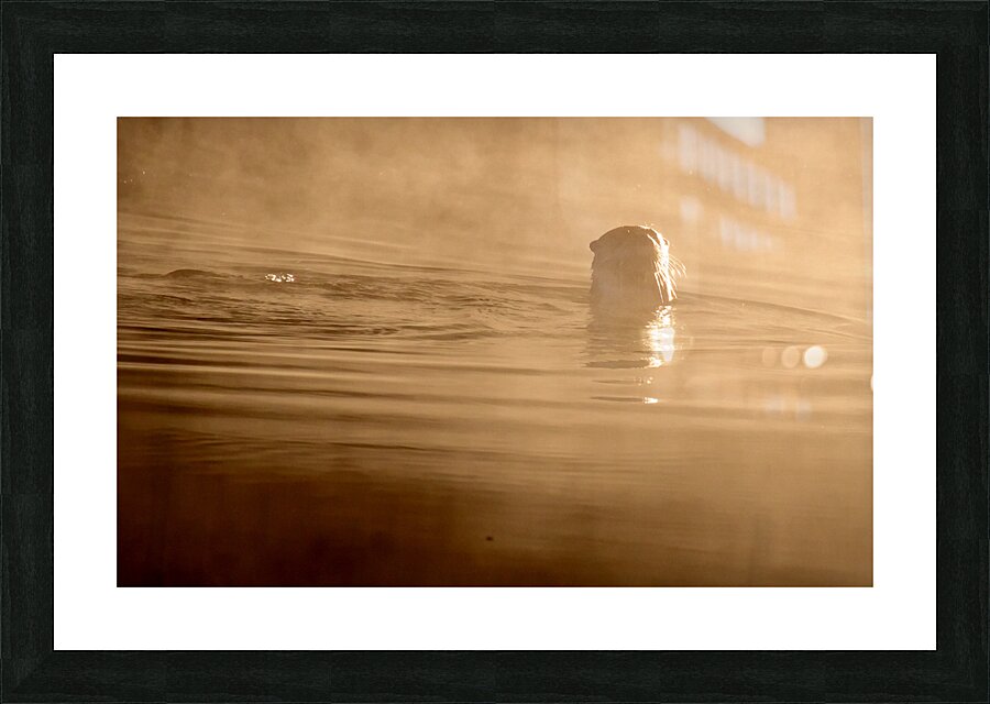 DSC 1719  Impression et Cadre photo