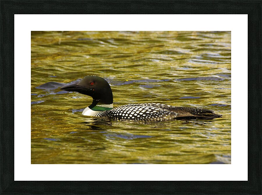 JBS 2224 Impression et Cadre photo