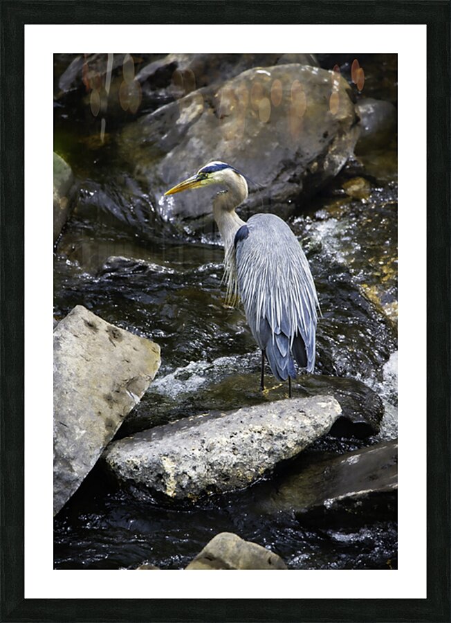 JBS 1574 Picture Frame print