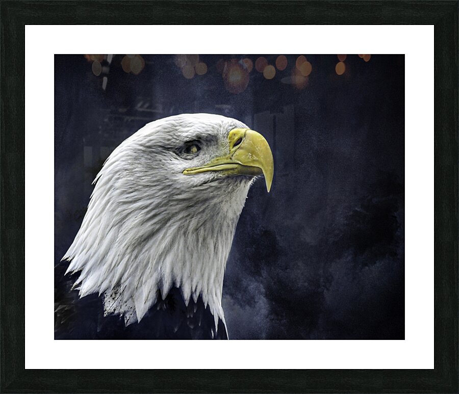 JBS 1282  Picture Frame print