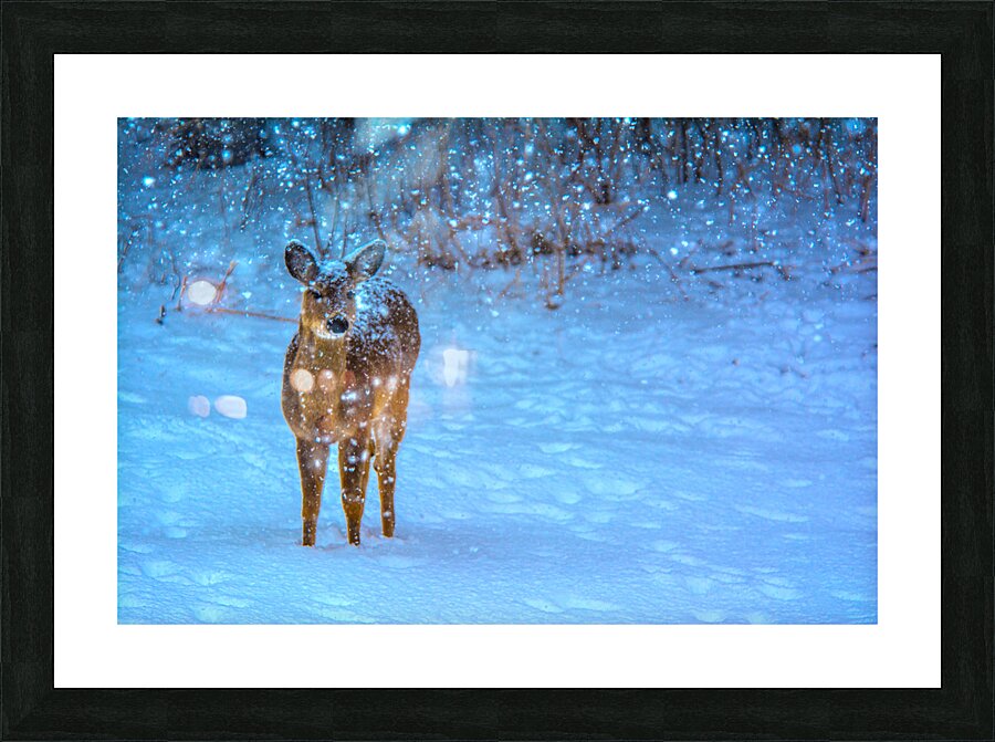 JBS 0395  Picture Frame print