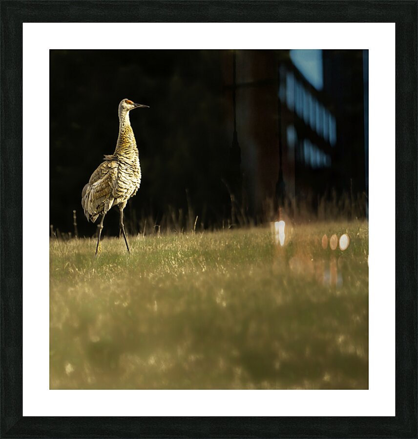 JBS 0909 Impression et Cadre photo