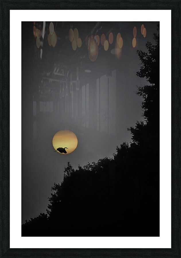 her rise Impression et Cadre photo