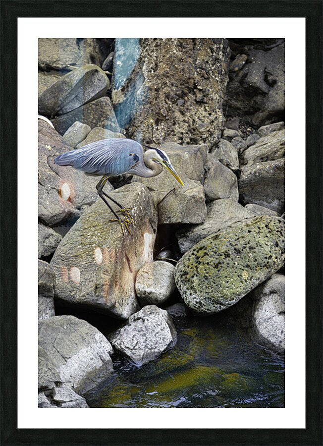 JBS 1629 Picture Frame print