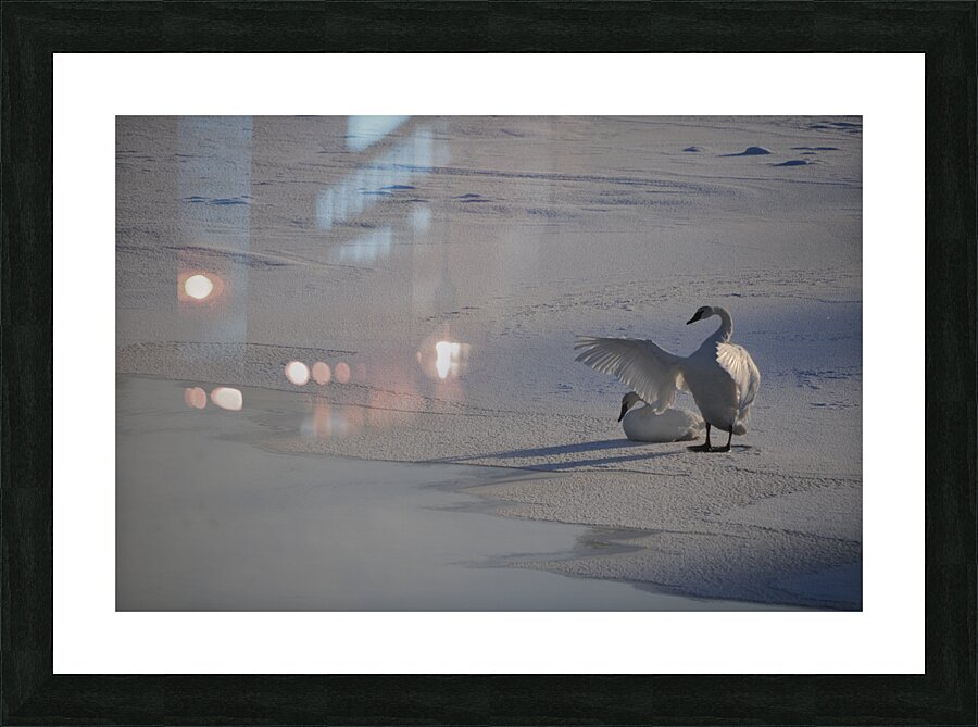 DSC 5806 Picture Frame print