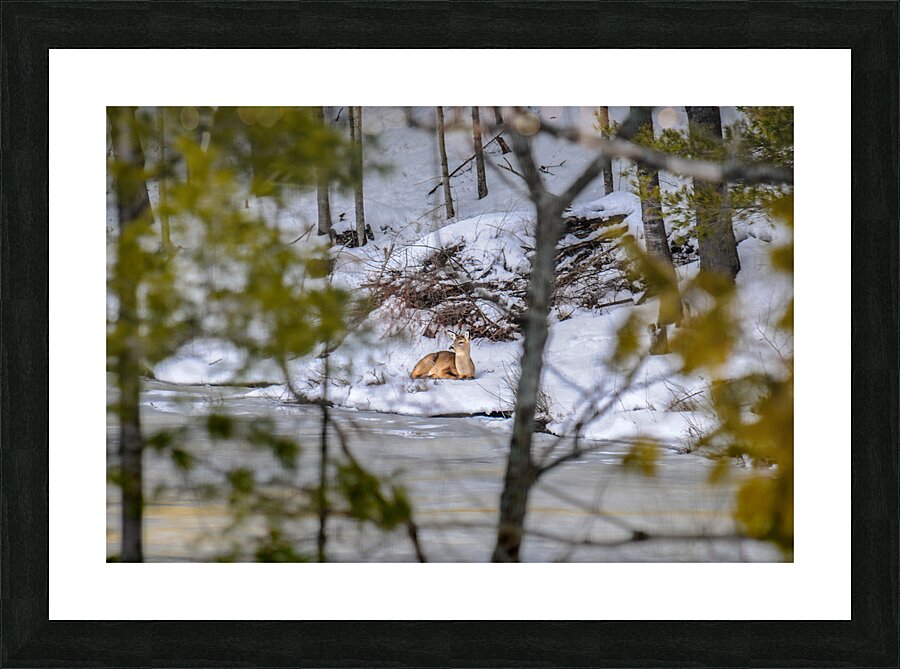  JBS5840 1 Impression et Cadre photo