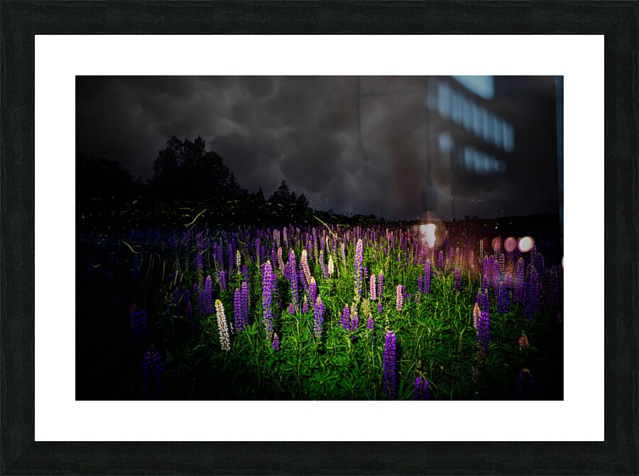 ZJS 7780  Picture Frame print