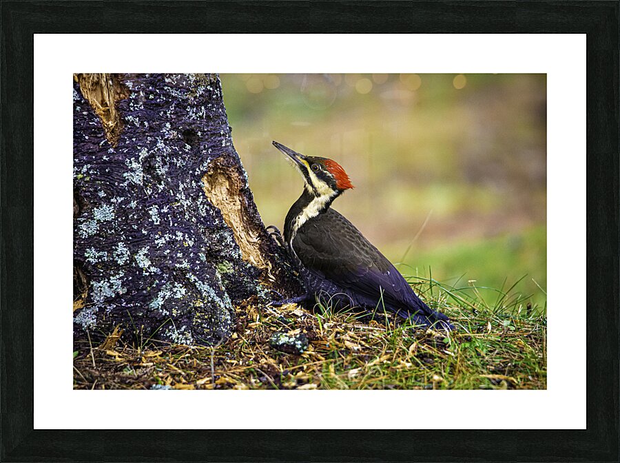 JBS 9742 1 Picture Frame print