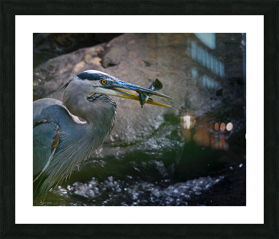 JBS 3491 Impression et Cadre photo