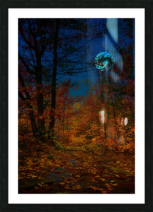 JBS 6767  Picture Frame print