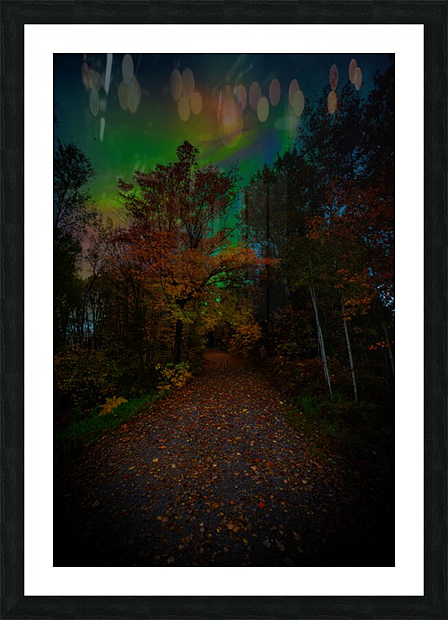 JBS 3816  Picture Frame print