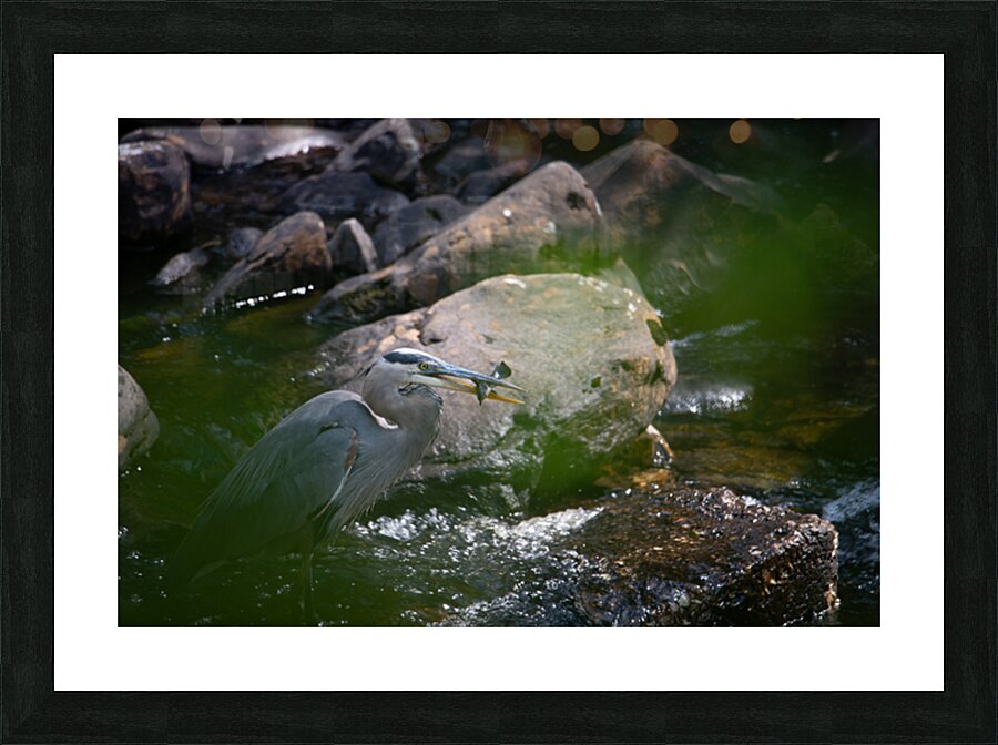 JBS 3491 2 Impression et Cadre photo