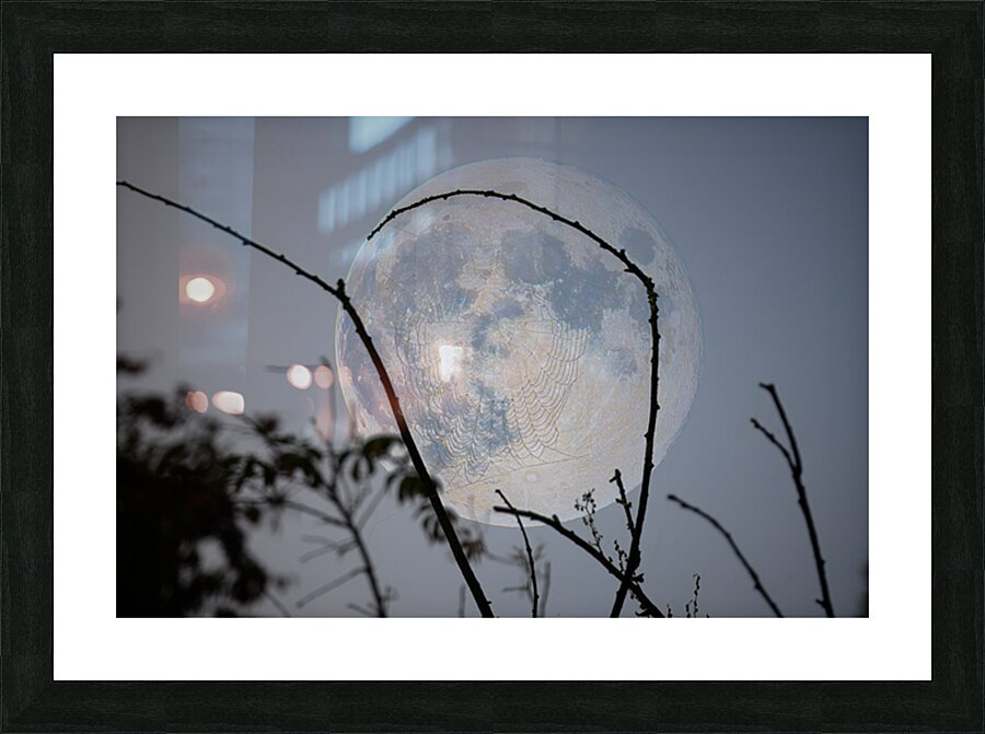 ZJS 8305  Picture Frame print