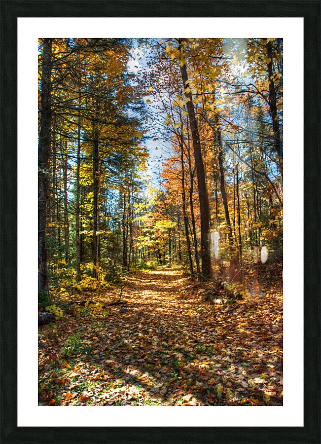 JBS 7125  Impression et Cadre photo