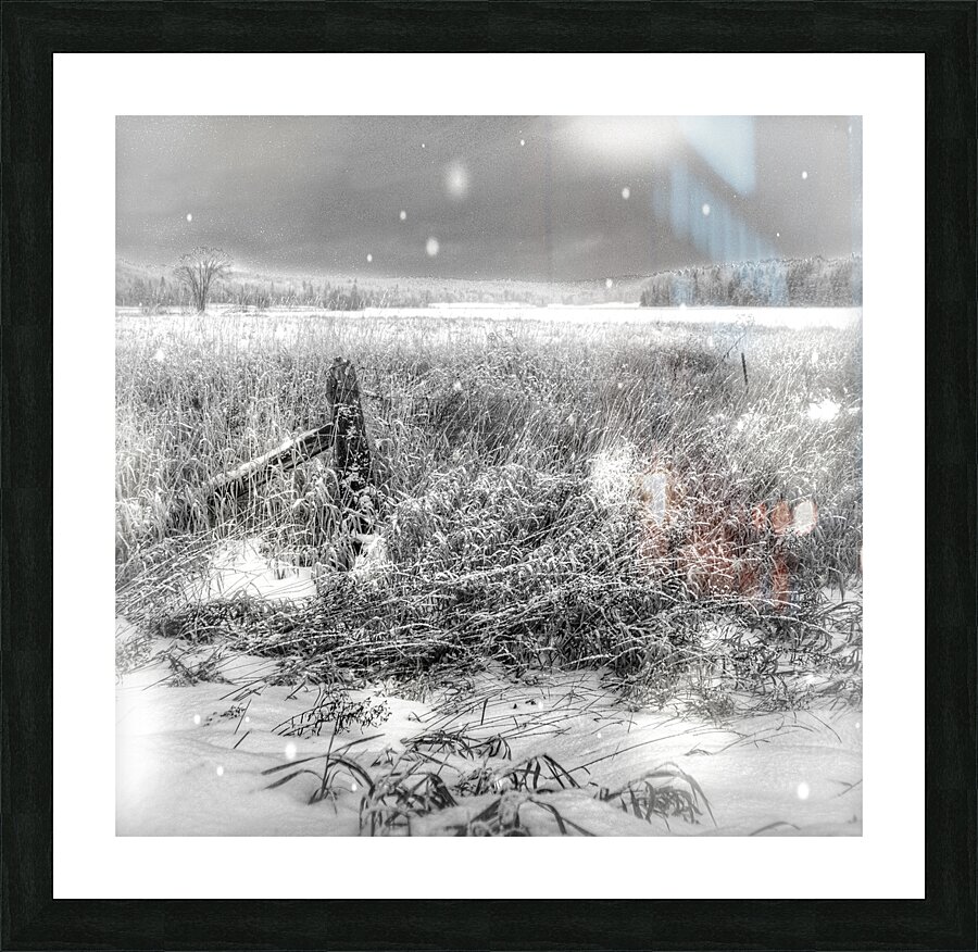 JBS 4080  Picture Frame print