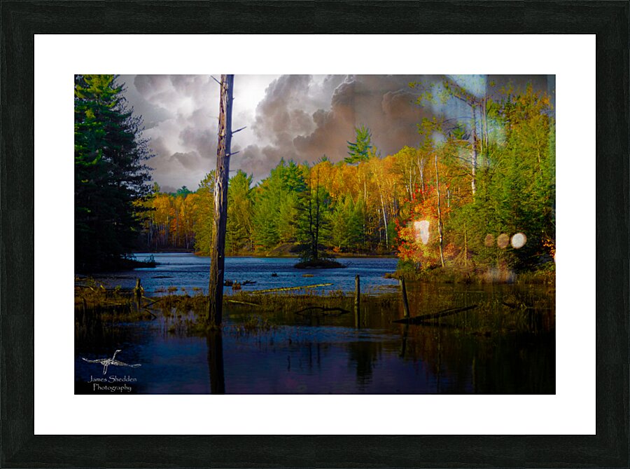  JBS4221  Picture Frame print