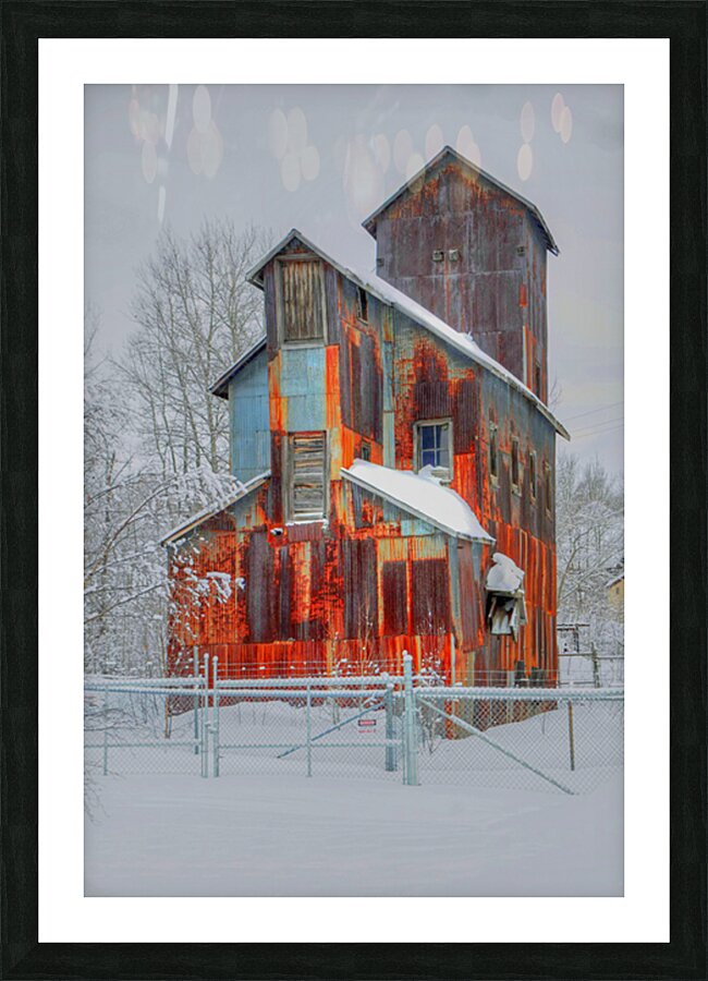 DSC 5683  Picture Frame print