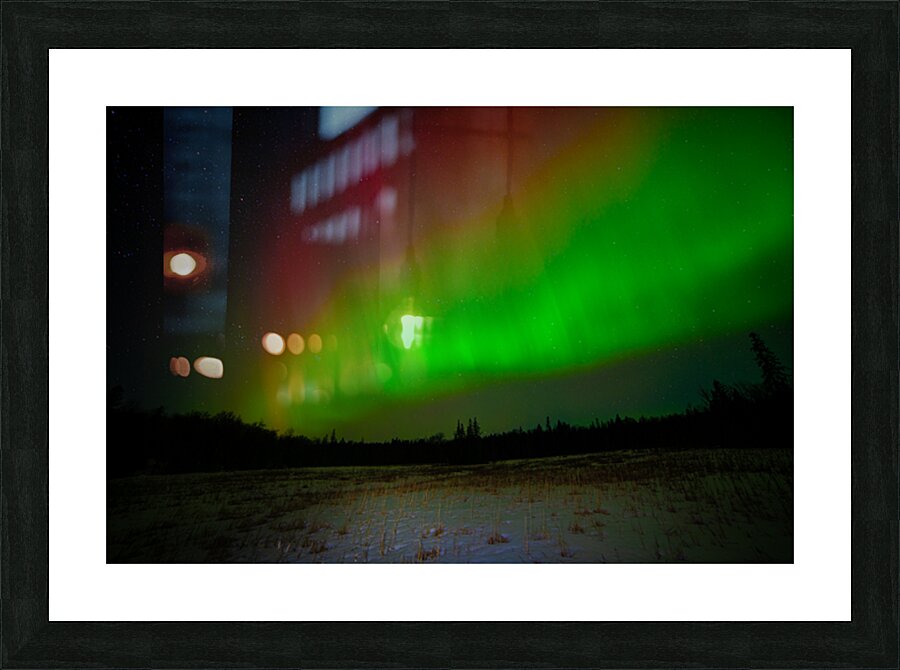 DSC 4379 Picture Frame print