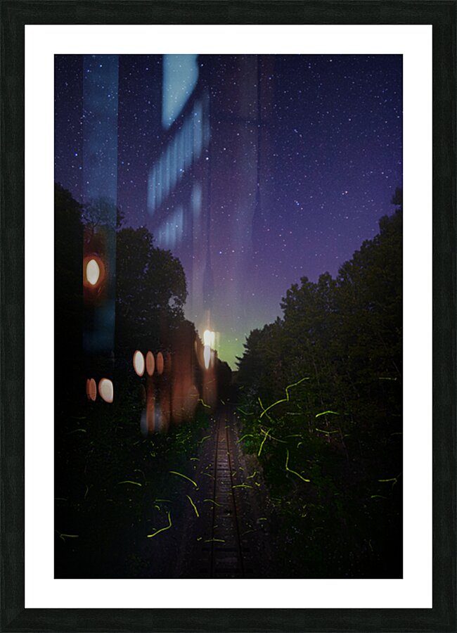 DSC 1684  Picture Frame print