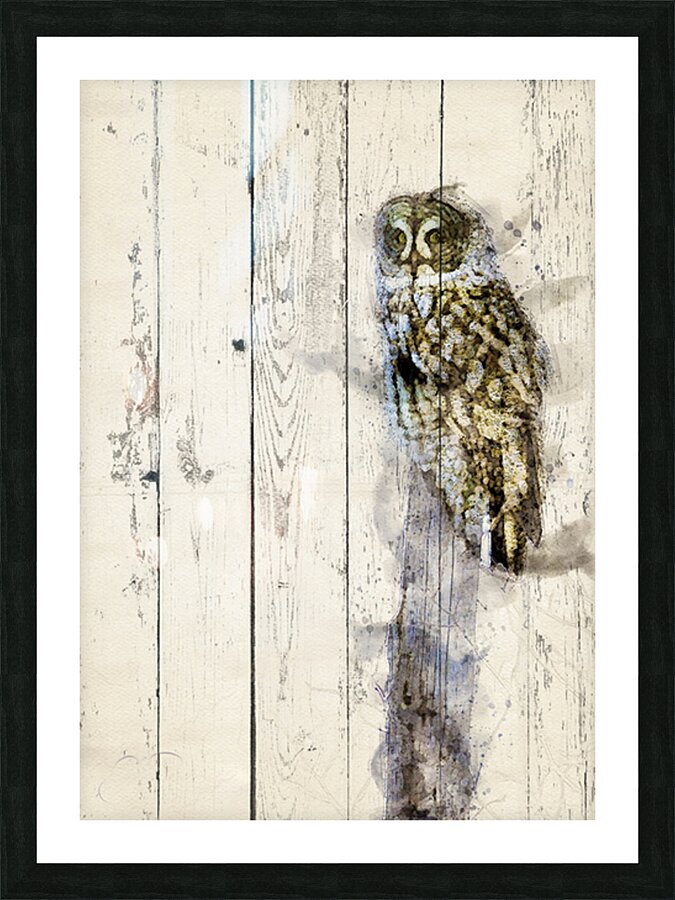 JBS 5420WC 2 Picture Frame print