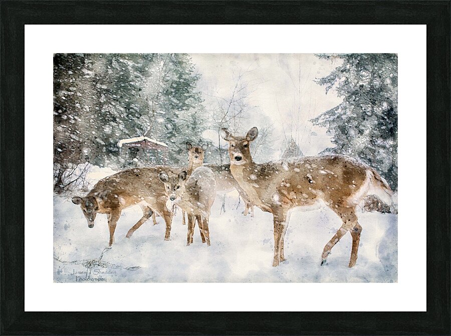 JBS 3204 2 Abstract Impression et Cadre photo