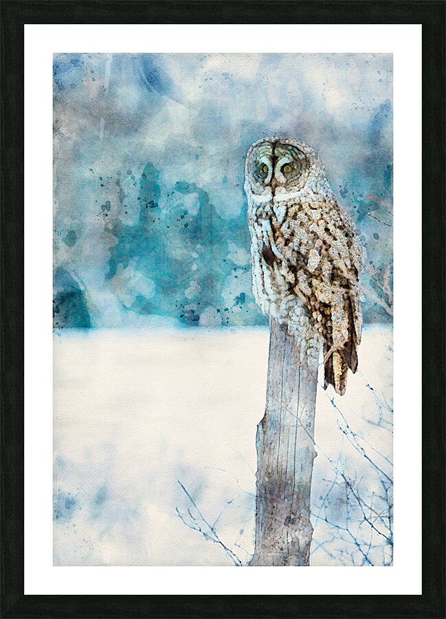 jbs 5420 owl abstract Impression et Cadre photo