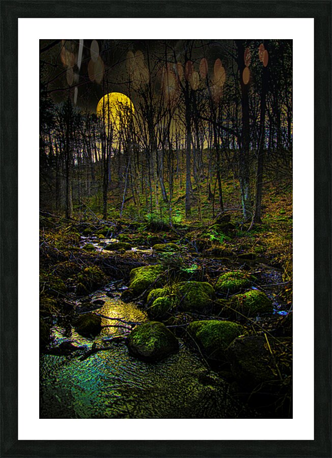 JBS 9682  Impression et Cadre photo