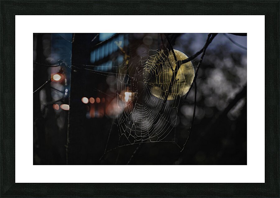 DSC 4847 Picture Frame print