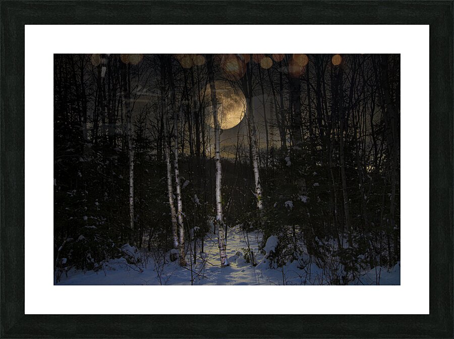 JBS 9973  Impression et Cadre photo