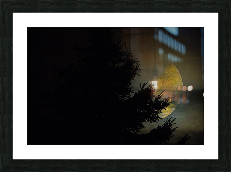 JBS 9933  Picture Frame print