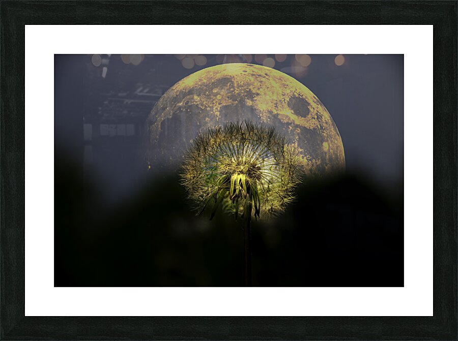 JBS 4981  Picture Frame print