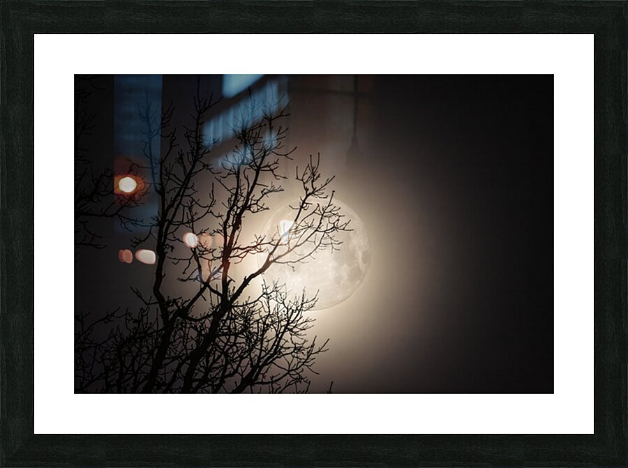 JBS 59702 Picture Frame print