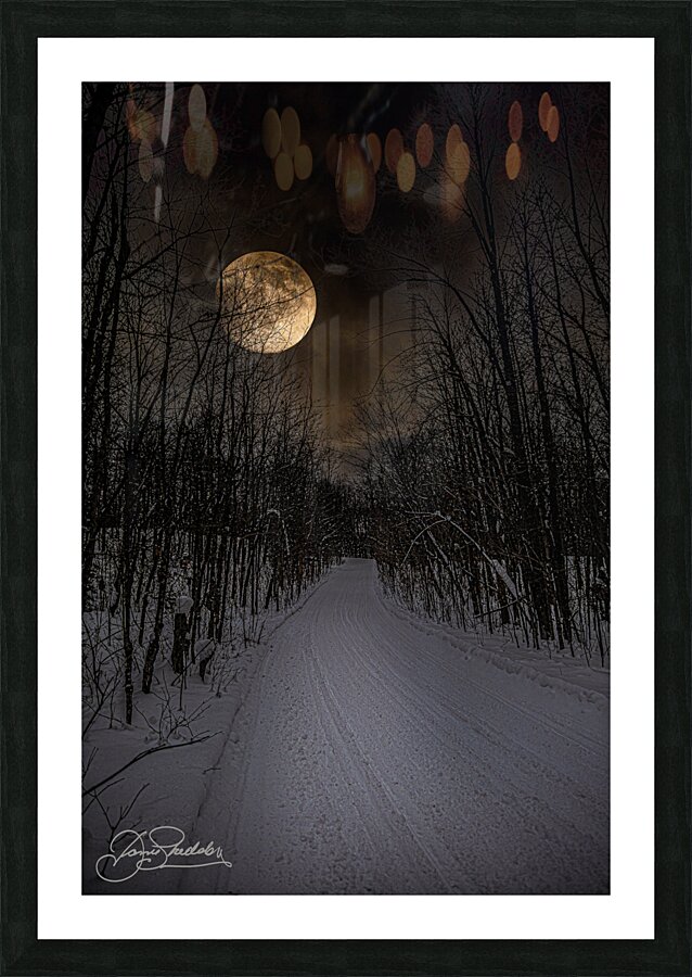 DSC 4177  Picture Frame print