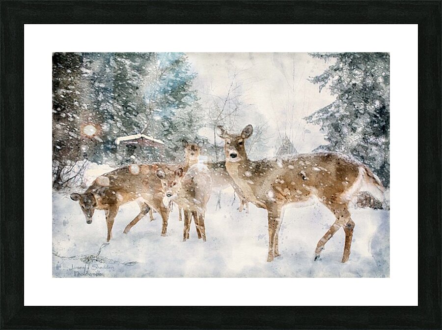 JBS 3204 2  Picture Frame print