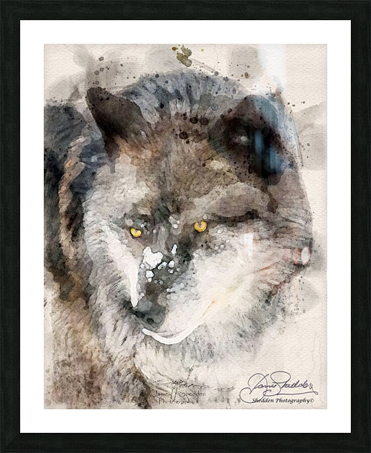 JBS 9093WC Picture Frame print