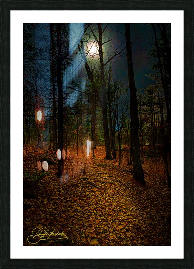 DSC 3665 1 Impression et Cadre photo