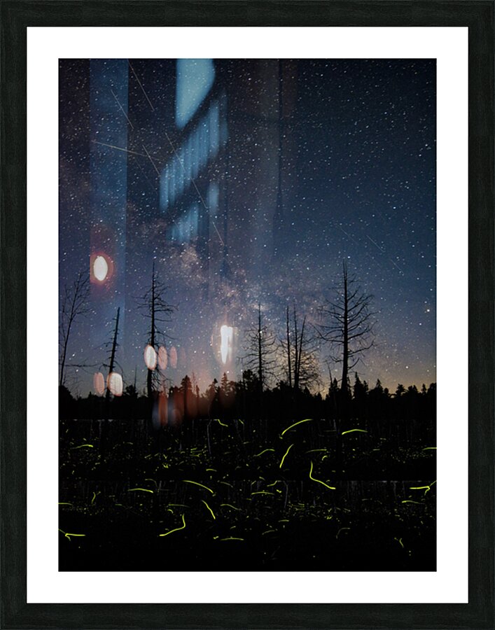 ff5 2 Picture Frame print