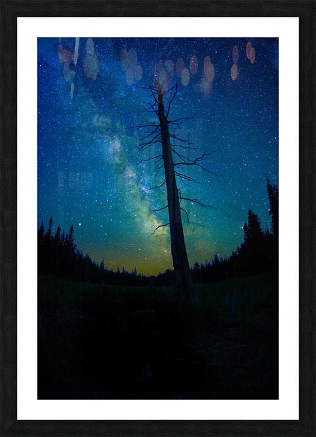 CRC 1662 Impression et Cadre photo