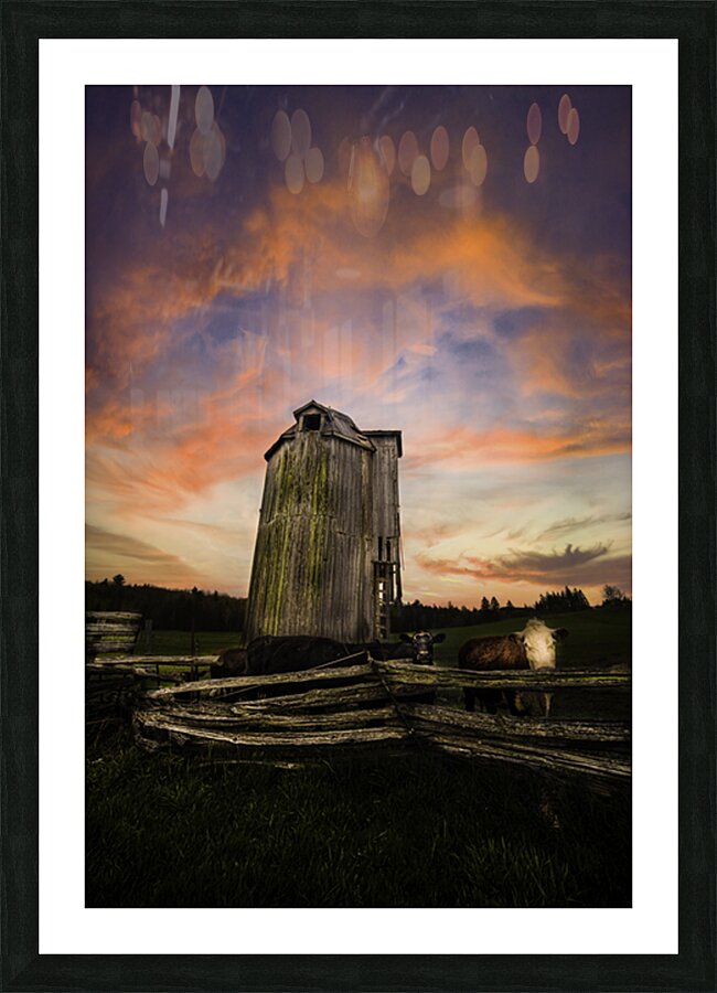 DSC 4632  Picture Frame print