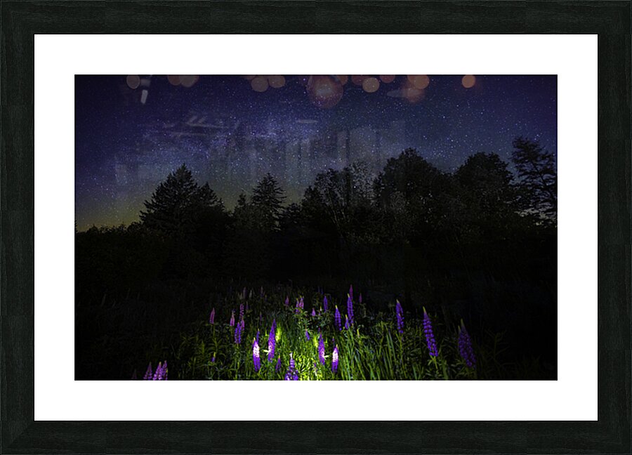 JBS 1800 Impression et Cadre photo