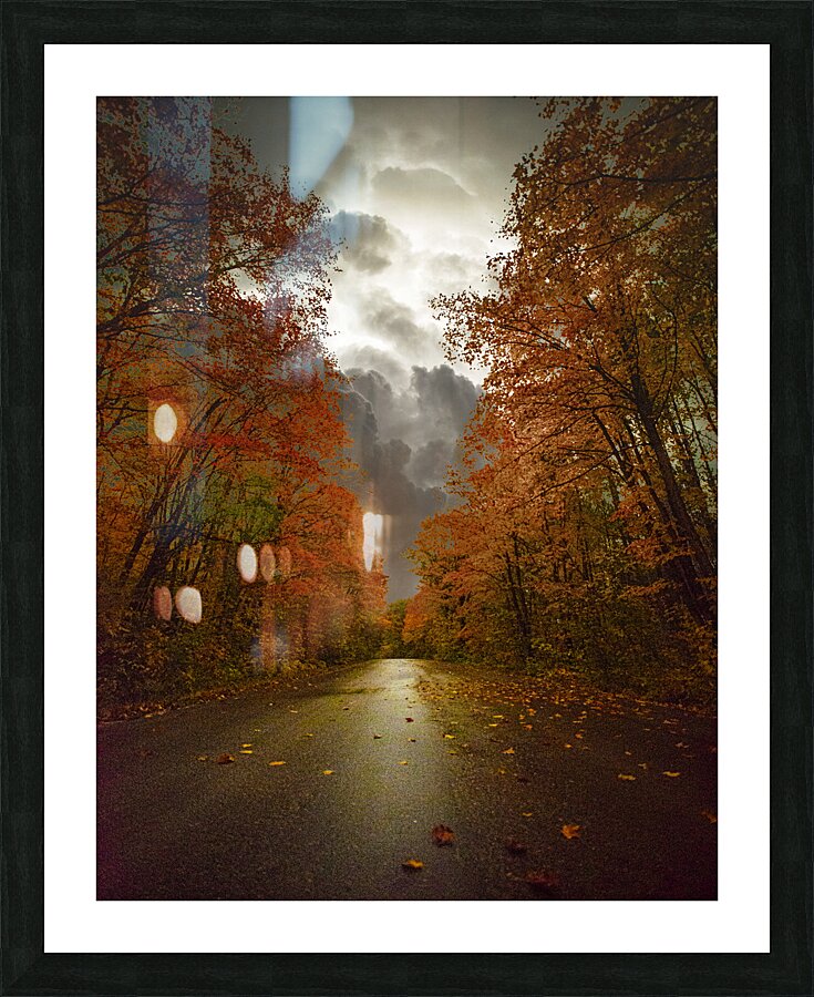 JBS 3790  Picture Frame print