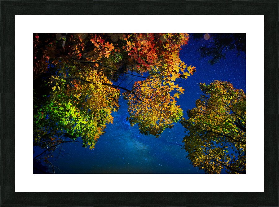 JBS 3297  Picture Frame print